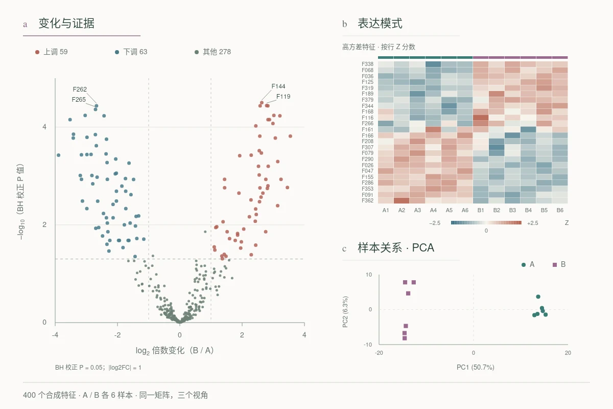 演示数据 · 同一矩阵,三个视角